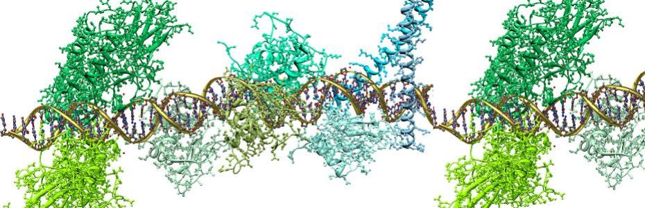 Biochemistry