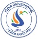Igdir university